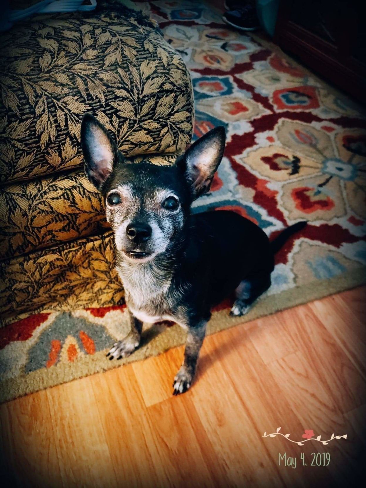 Miss Molly Mapes